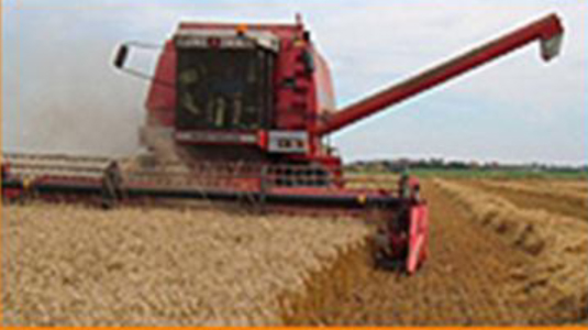 Agriculture Machines, Lifts and Material Handling Equipment Rental Service